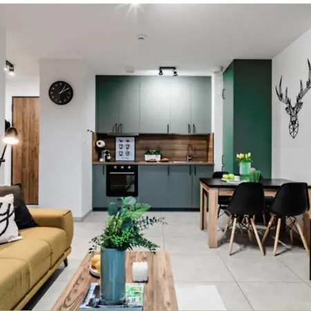 Old Town Nadmotlawie - Sauna & Gym I 10min Deptak Apartment