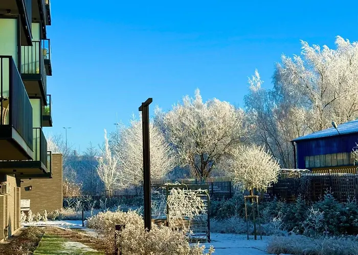 Old Town Nadmotlawie - Sauna & Gym I 10min Deptak *